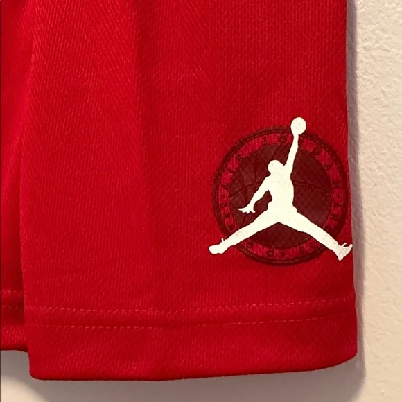 Jordan Toddler Boys' Gym Red Shorts - Picture 3 of 5